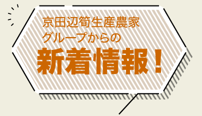 京田辺筍生産農家グループからの新着情報